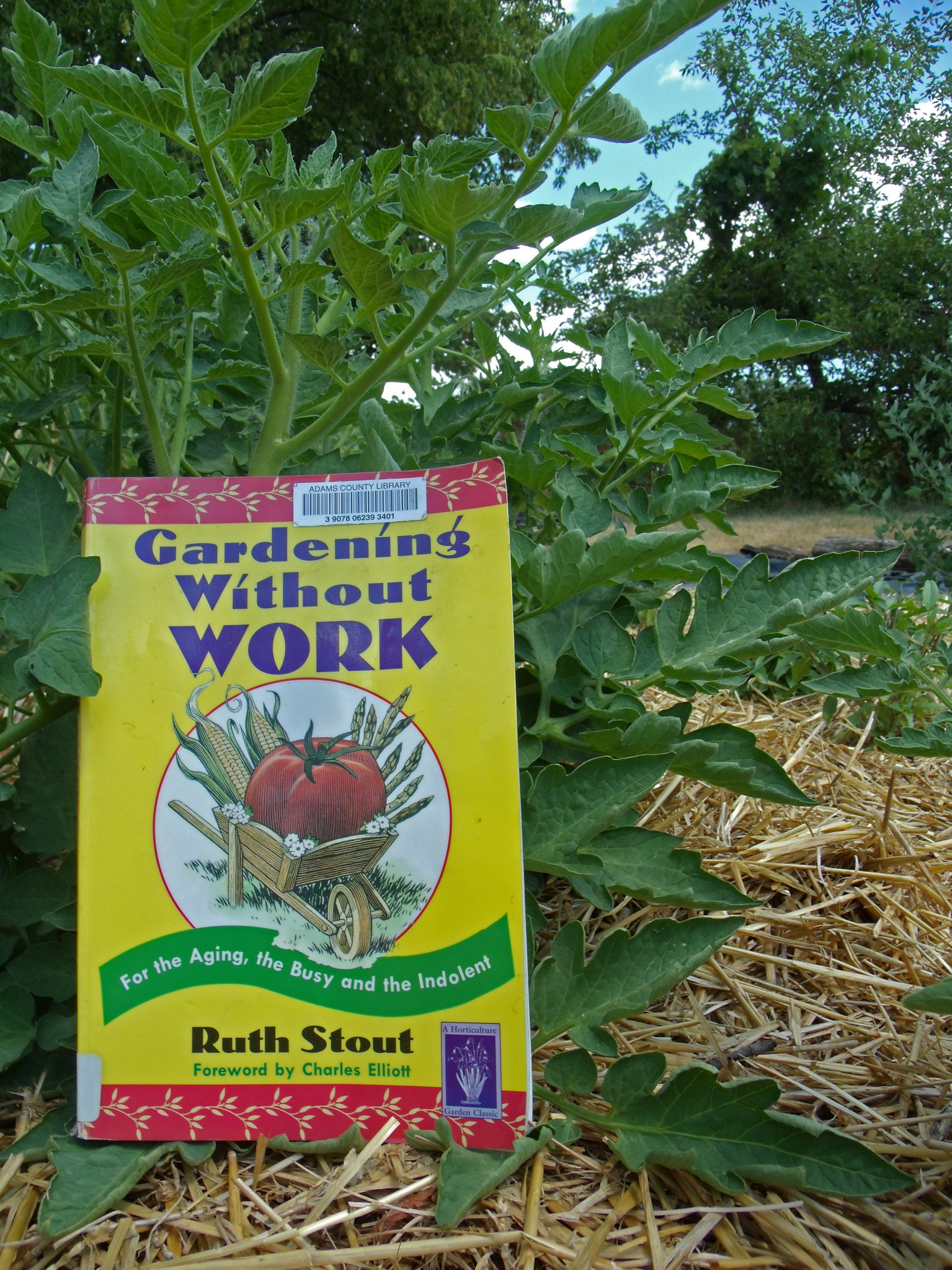 Gardening Without Work By Ruth Stout Behind The Willows
