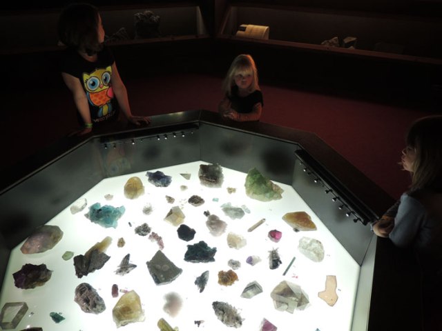 kids at the museum
